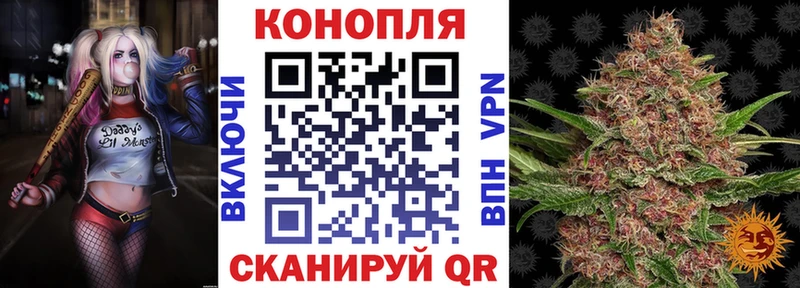 Купить закладки  Верея  Канабис White Widow 